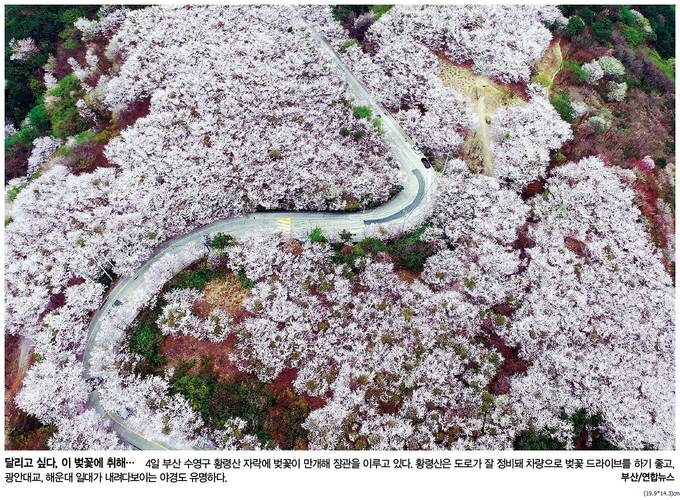 한겨레신문 5일자 1면사진 캡처. 