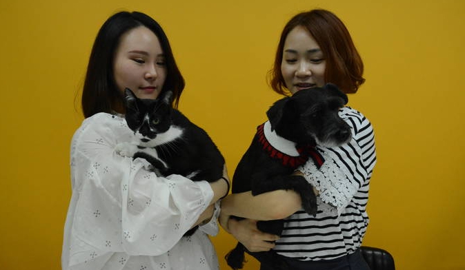 동물자유연대 출신인 한송아(오른쪽)·김보아 에디터는 각각 2015년 10월, 지난해 8월부터 ‘동그람이’에서 일하며 콘텐츠 배열과 제작 등을 맡고 있다. 사진은 두 에디터가 동반출근 중인 ‘네로(개)’와 ‘김마리’를 안고 포즈를 취한 모습. 