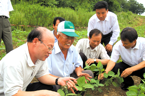 기협 정일용 회장(왼쪽)과 농협 광화문 이기만 지점장(오른쪽) 등이 해마루촌 마을주민들의 설명을 듣고 있다.
