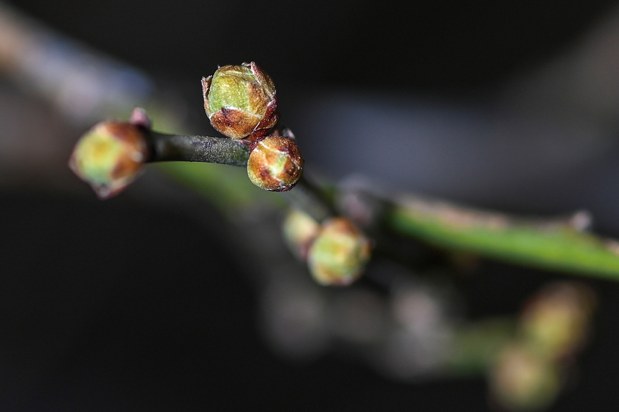 [뷰파인더 너머] (237) 계절의 시간표