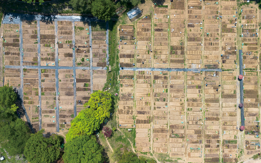 [뷰파인더 너머] (247) 초록의 계절, 시간을 심다